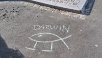 Darwinfisch 2022